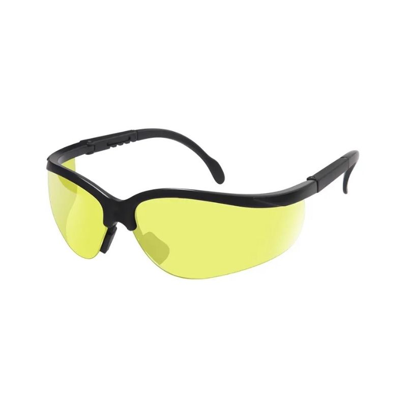 Lunette de Protection