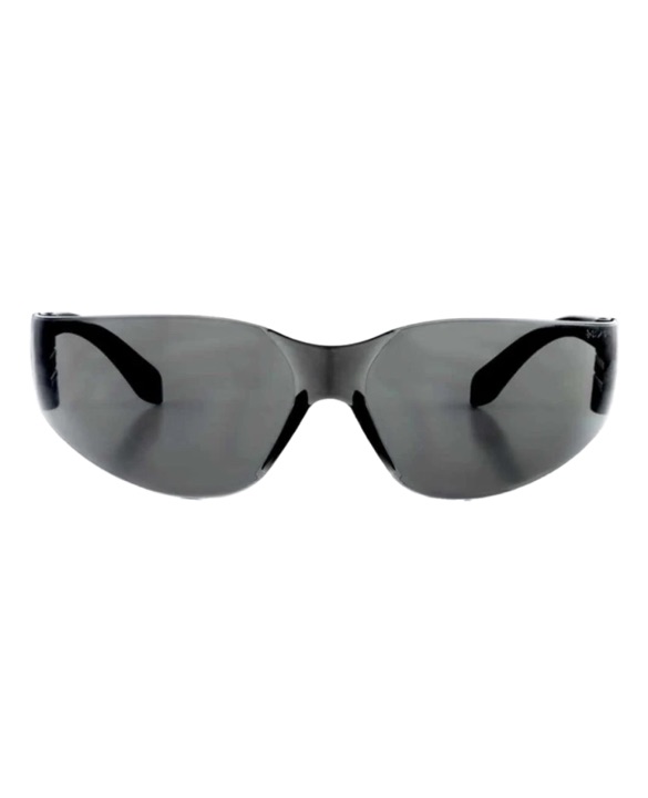 LUNETTES DE PROTECTION BENCHMARK BM18, TEINTÉES