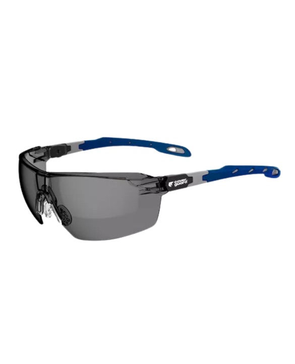 LUNETTES DE SÉCURITÉ PANTHER, TEINTÉES