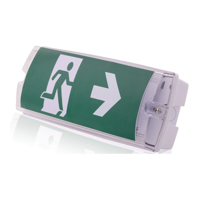 Luminaire de Sortie de Secours