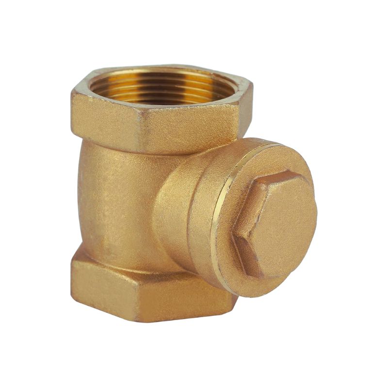 Clapet a Battant Filetage en Laiton